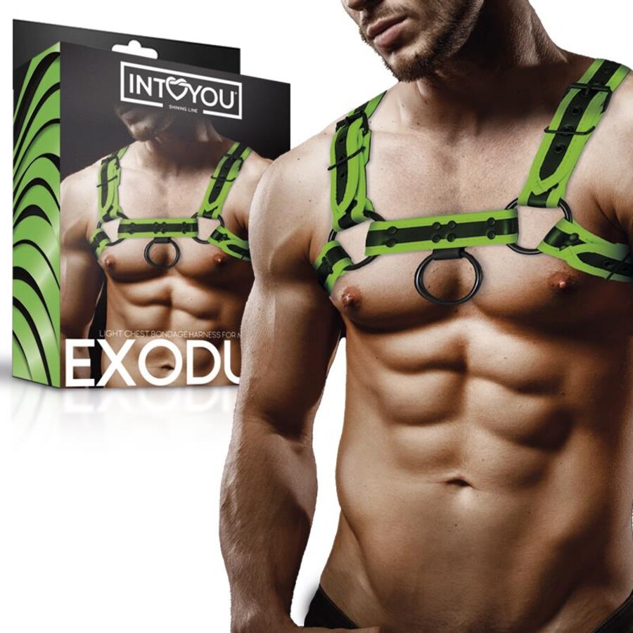 Glow-in-the-Dark Chest Bondage Harness