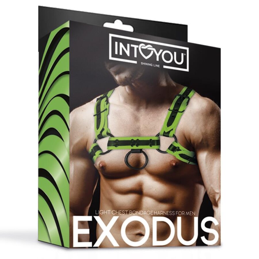 LUMINA HARNESS 6