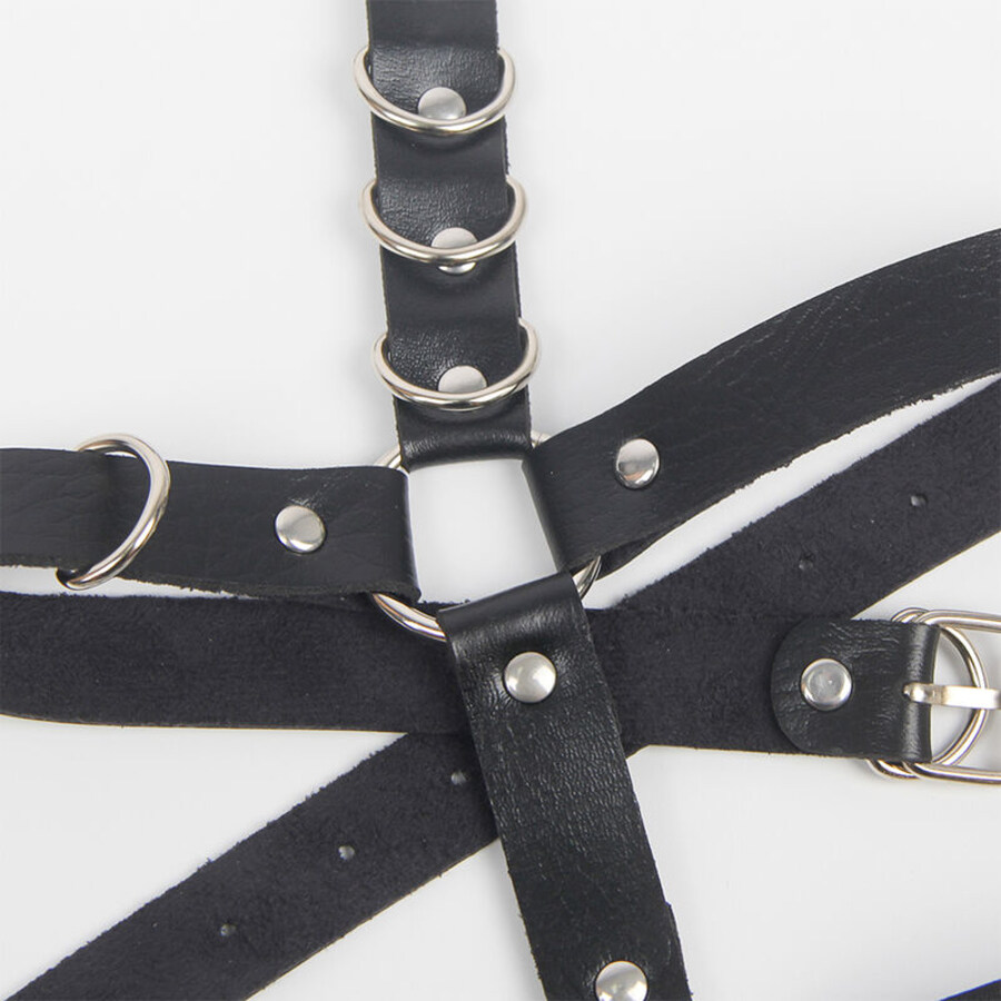 HARNESS LEAGUE SHAPE WITH RING 5