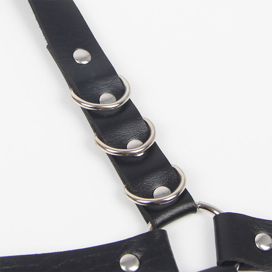 HARNESS LEAGUE SHAPE WITH RING 6