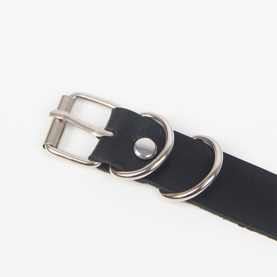 HARNESS LEAGUE SHAPE WITH RING 8