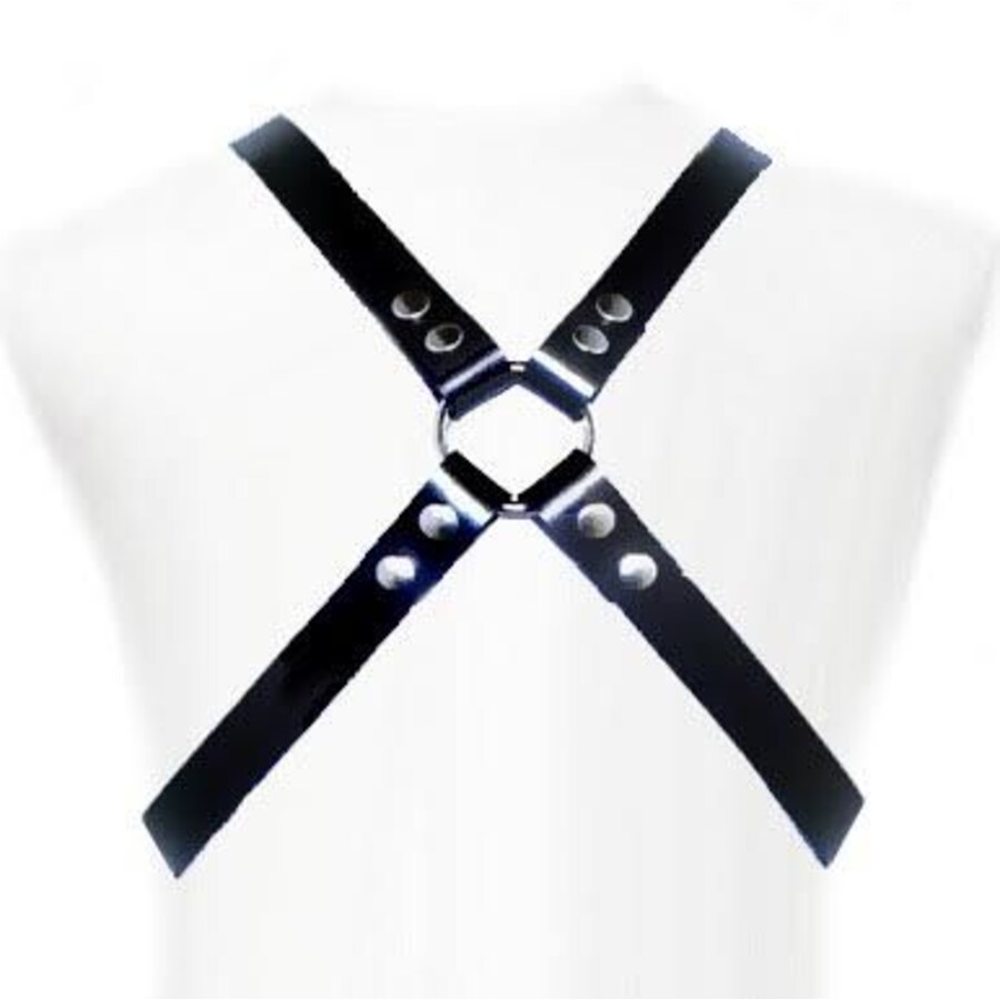 BASIC HARNESS BASIC HARNESS