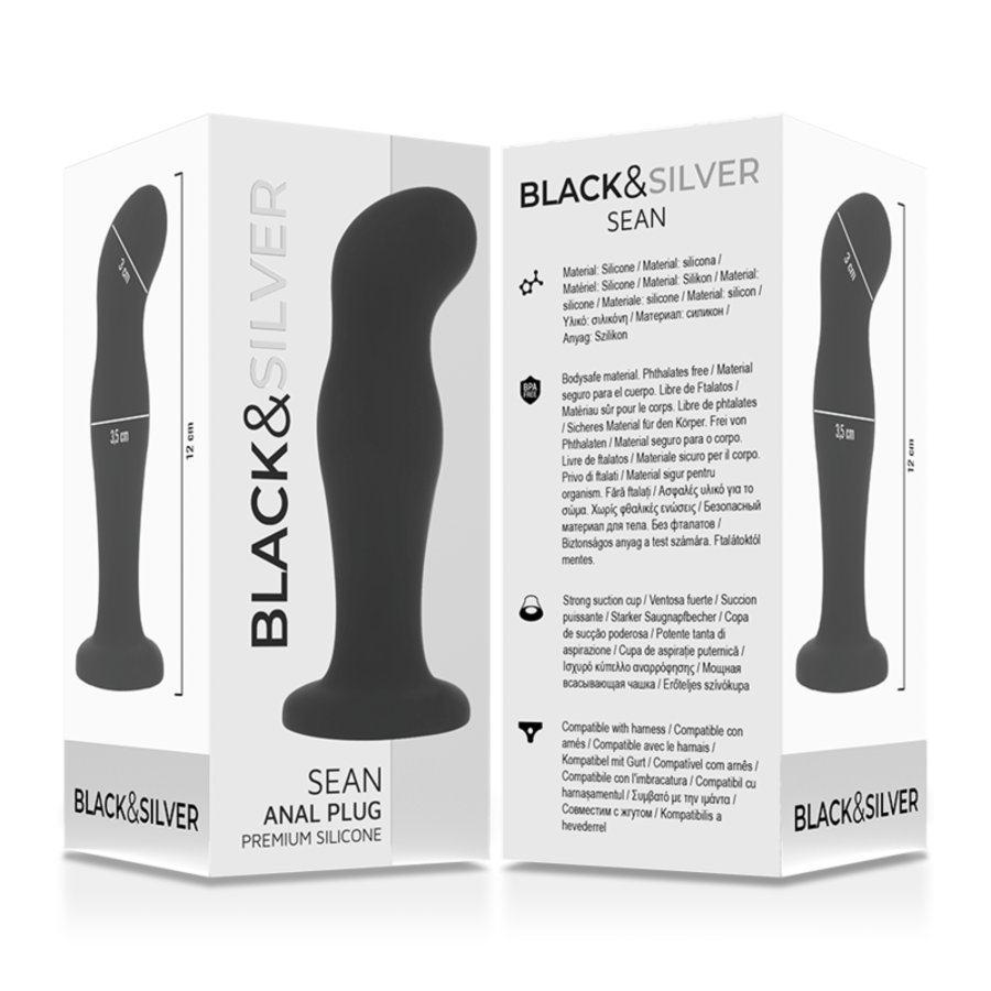 SEAN 6