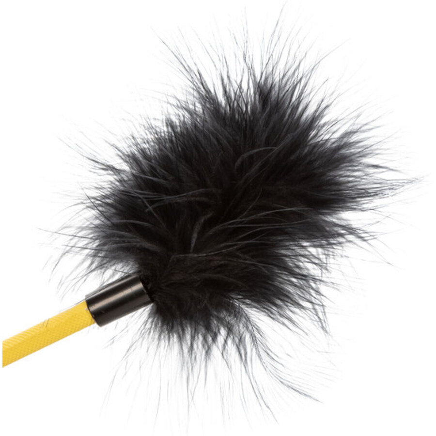 FEATHER 5