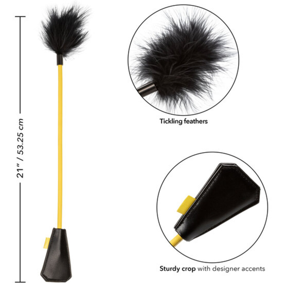 FEATHER 8