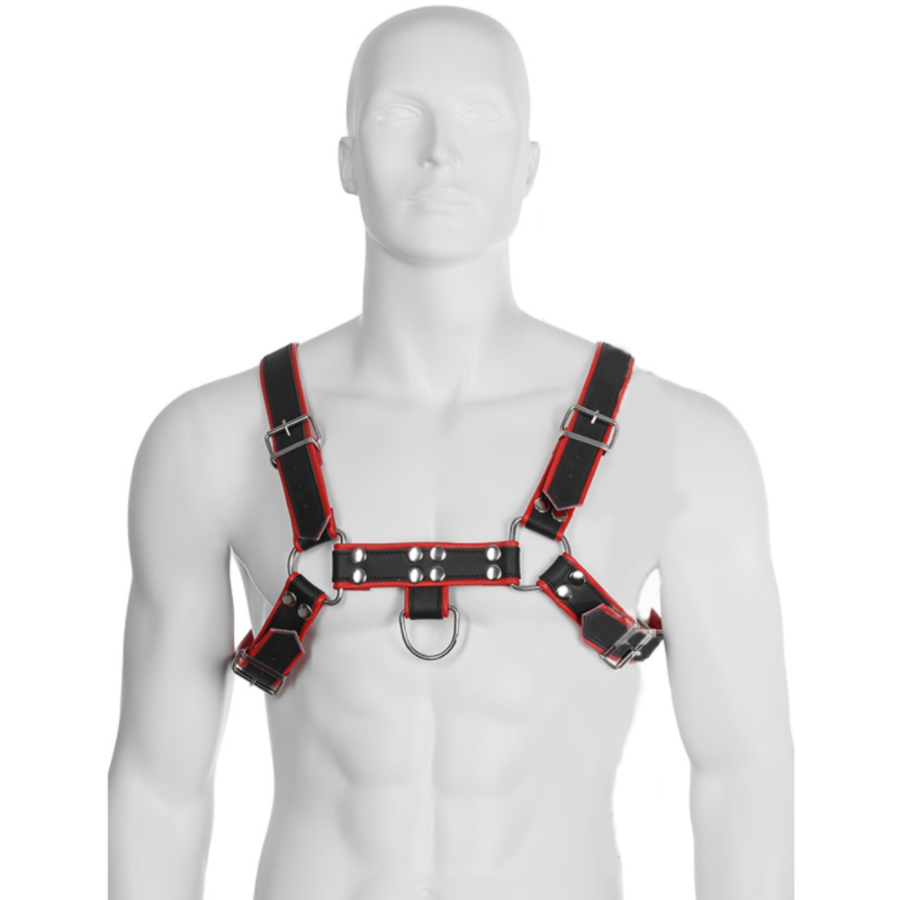 CHEST BULLDOG 3