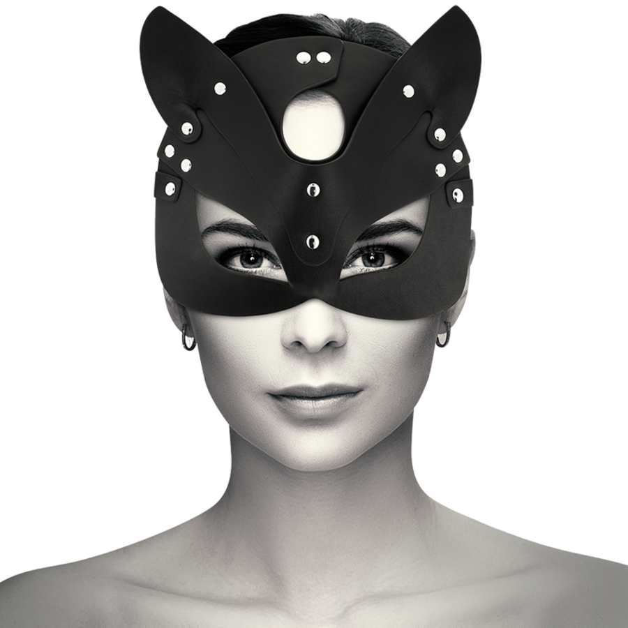 FACE CAT 2