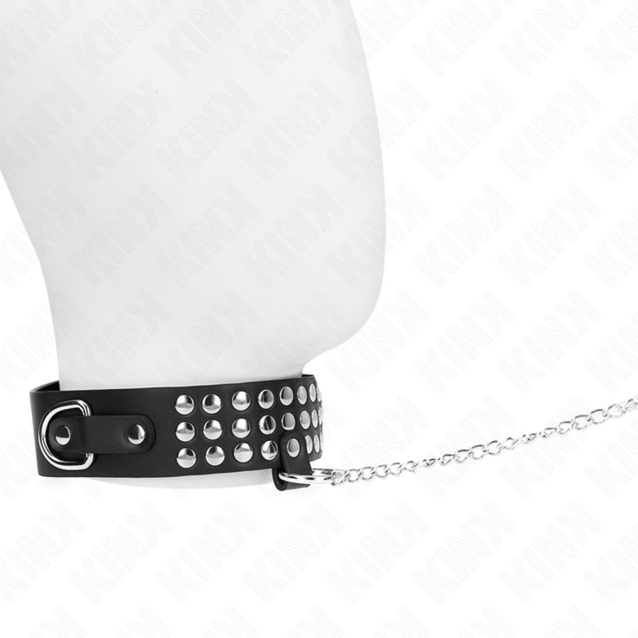 COLLAR WITH LEASH 65 CM WITH BR 2