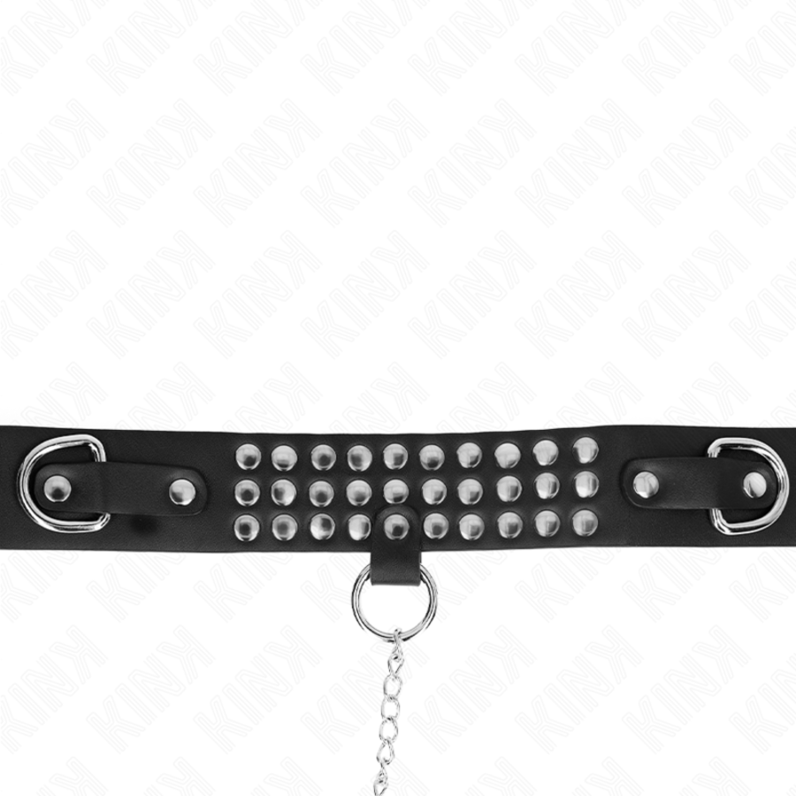 COLLAR WITH LEASH 65 CM WITH BR 5