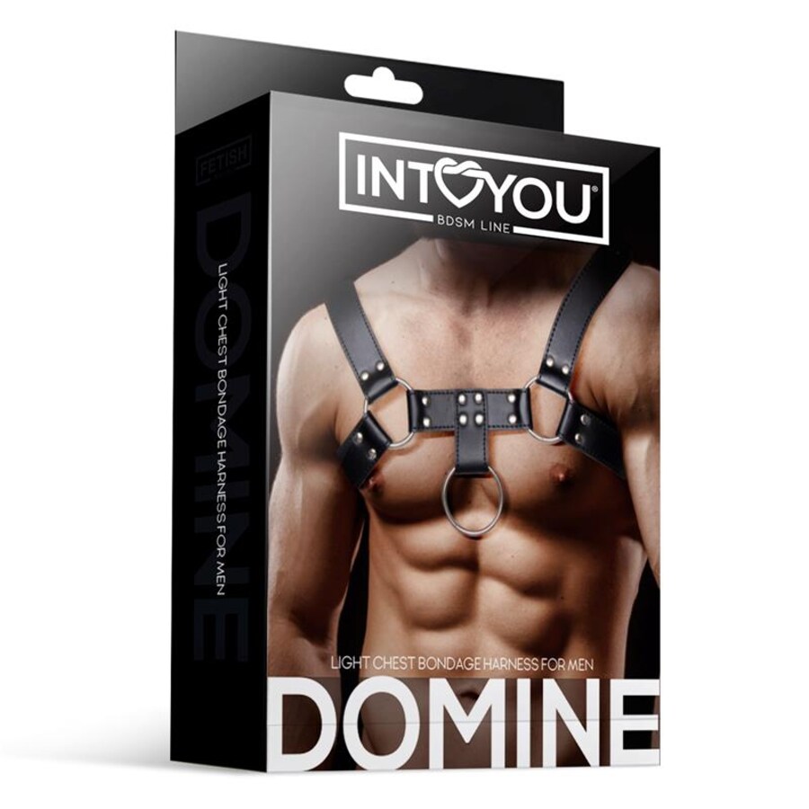 DOMINE V-BONDAGE 3