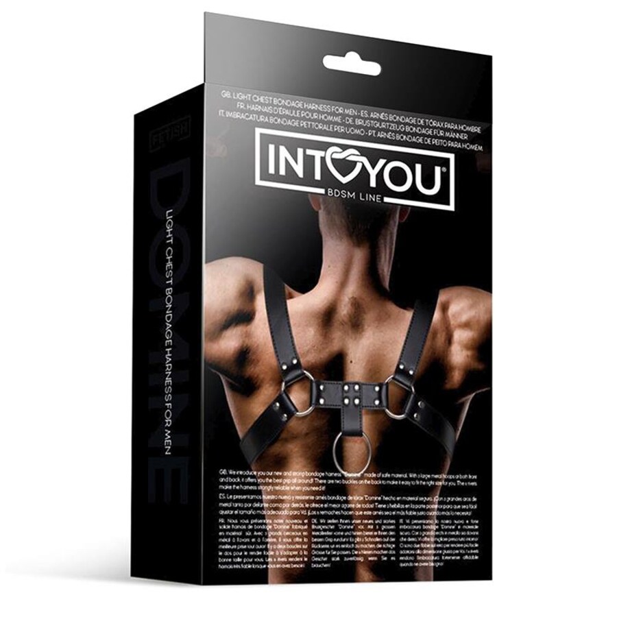 DOMINE V-BONDAGE 4