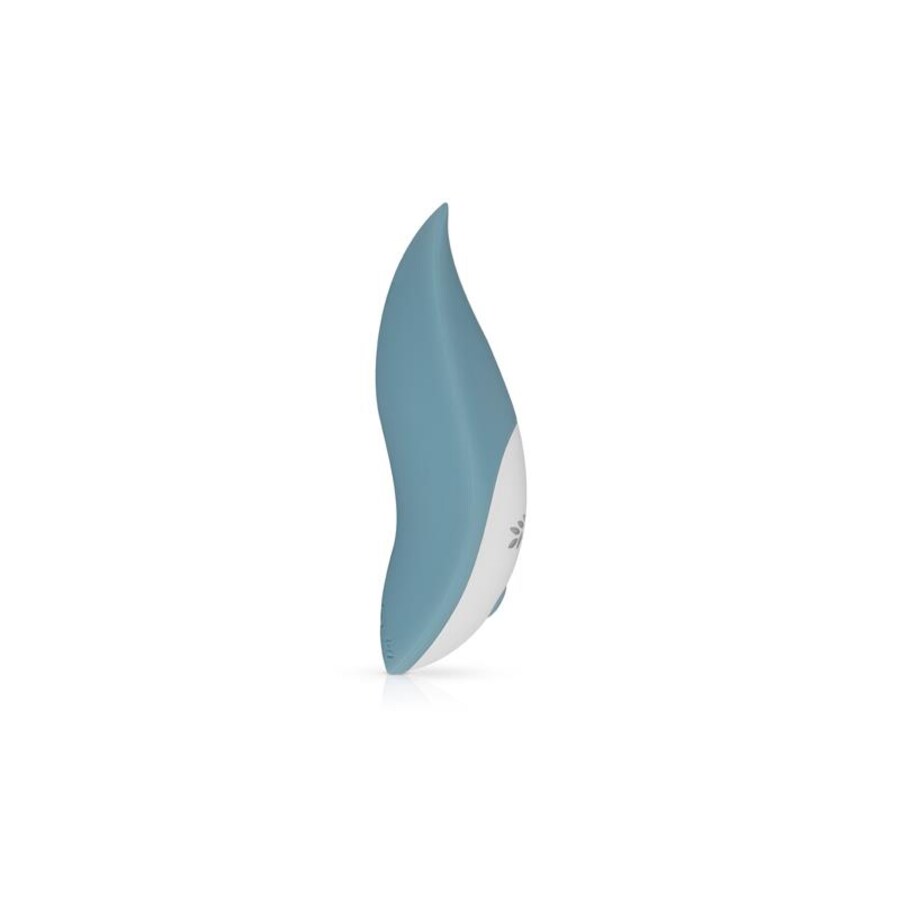 THE TULIP 4