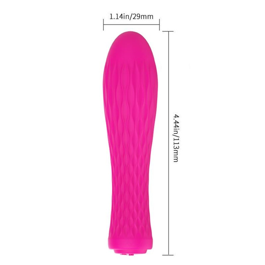 IAN FUCHSIA 5
