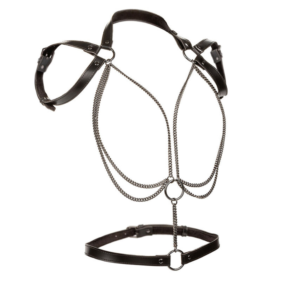 EUPHORIA ARREIO DE CABIDE MULTICANTES PREMIUM nº1 EUPHORIA ARREIO DE CABIDE MULTICANTES PREMIUM nº1
