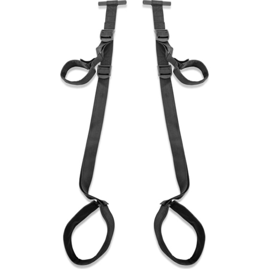 FETISH FANTASY DOOR SWING 1