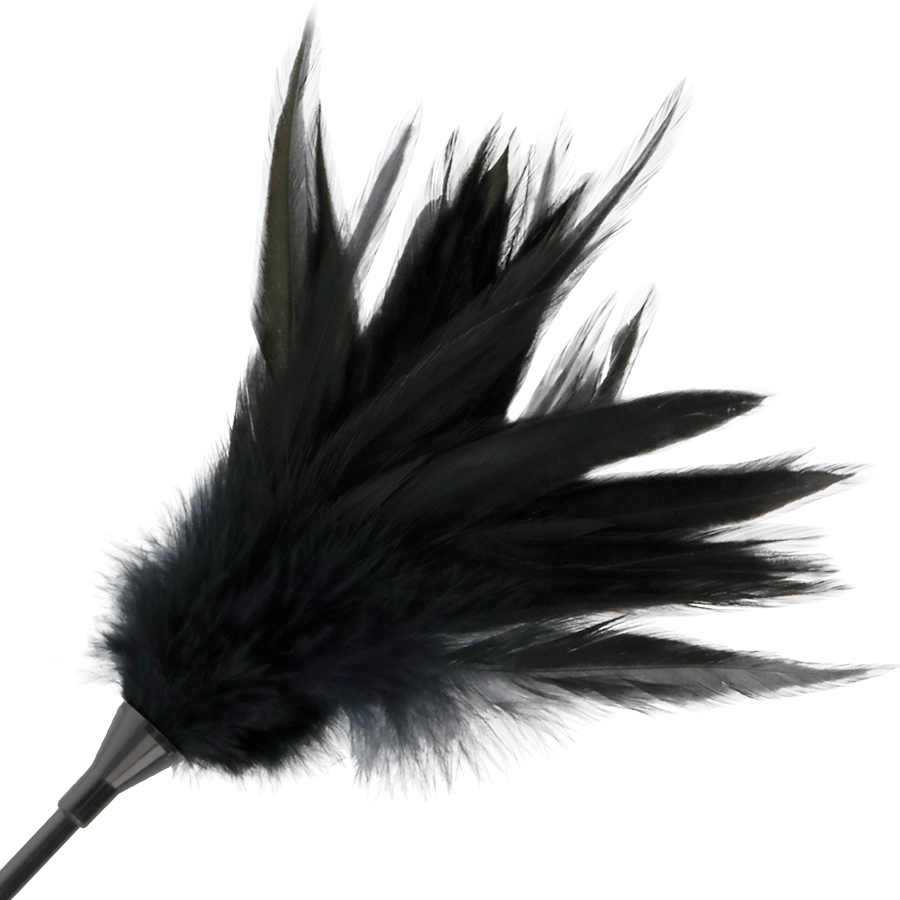 FRUSTA FEATHERED 3