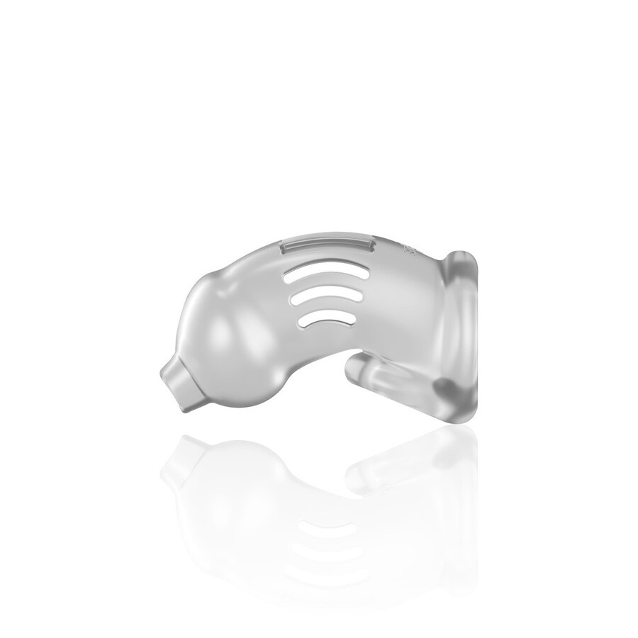 GAIOLA MODEL 29 CHASTITY 4