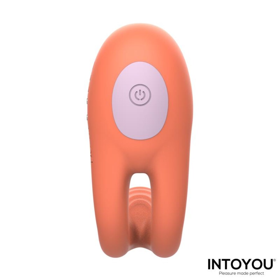 LOVIT FLEXIREMOTE 6