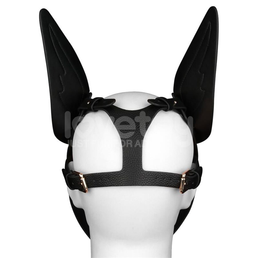 REBELLION REIGN SCARRED ALPHA 9