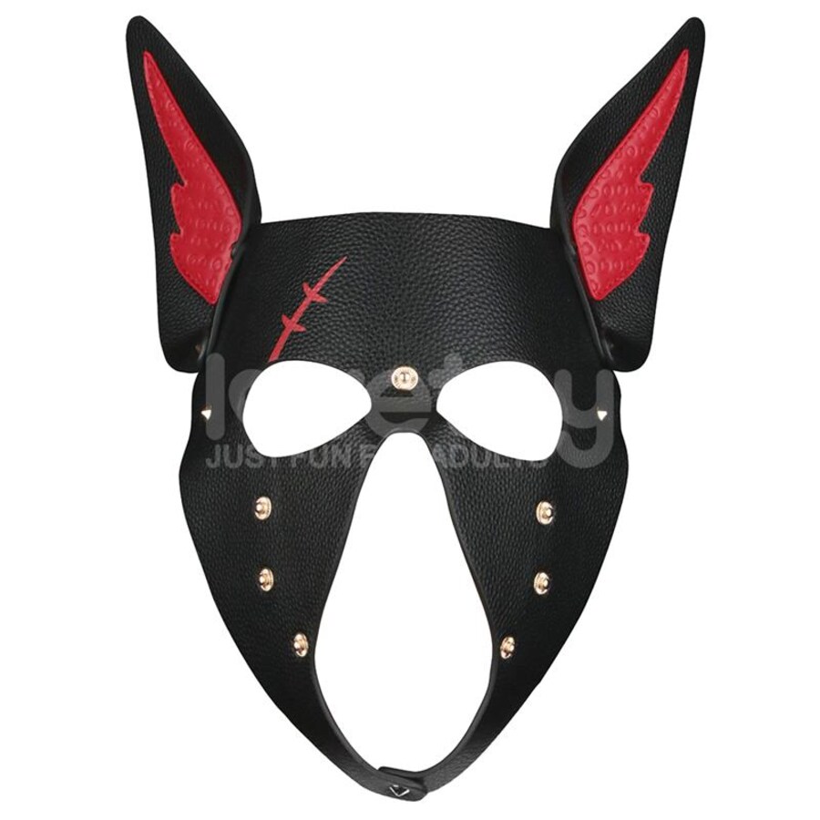 CACHORRO ALFA CICATRIZADO 2