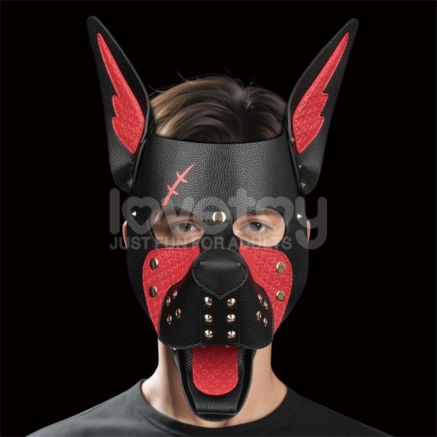 CACHORRO ALFA CICATRIZADO 3