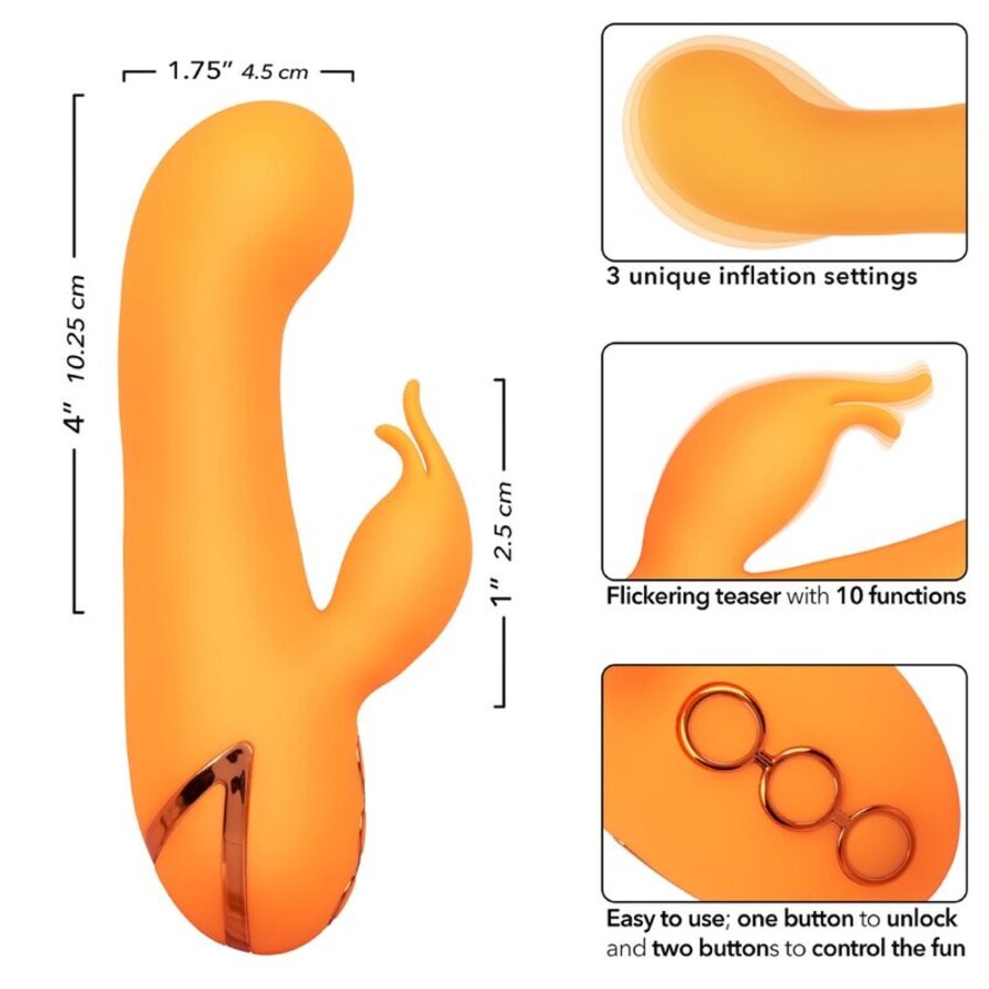 MONTECITO MUSE VIBRADOR COELHO 8