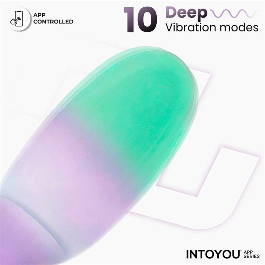 NEXEGG BLISS 6
