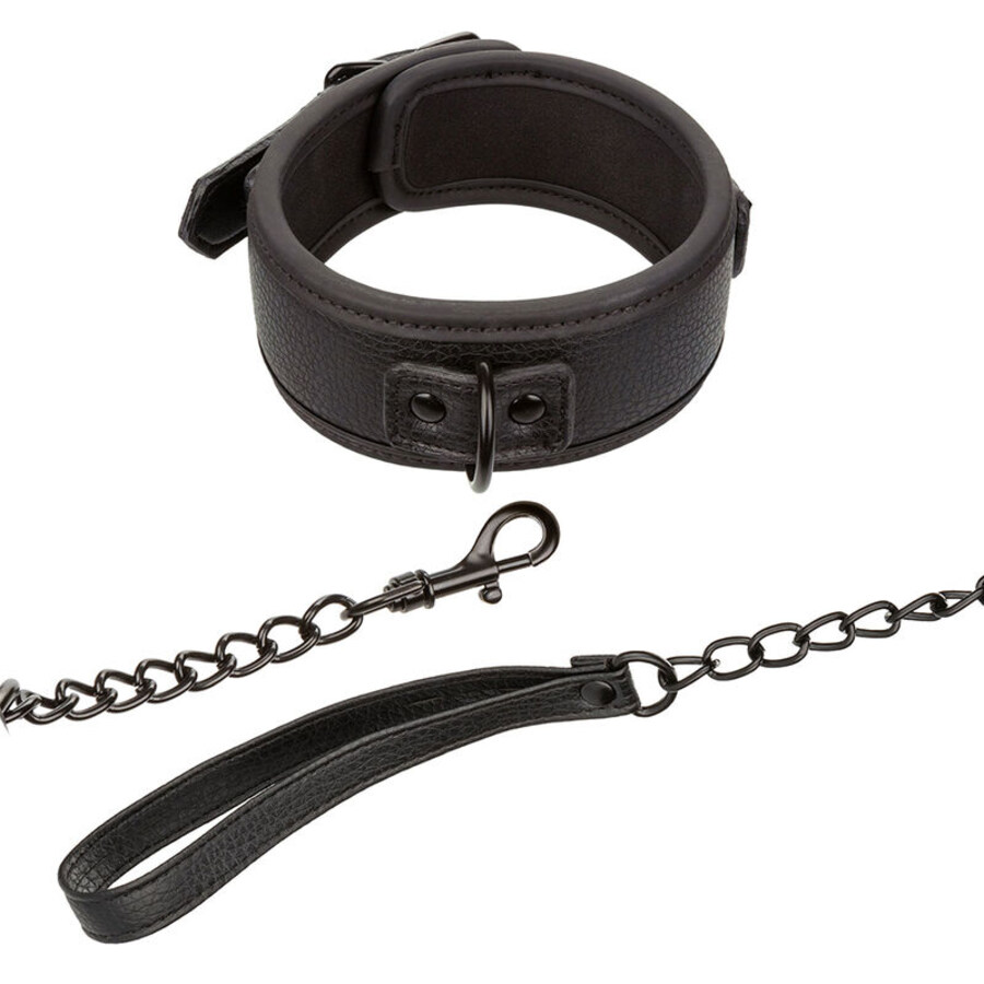 NOCTURNAL COLLAR AND LEASH CUER 3