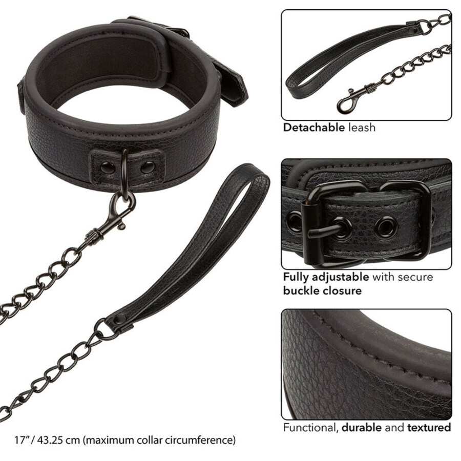 NOCTURNAL COLLAR AND LEASH CUER 4