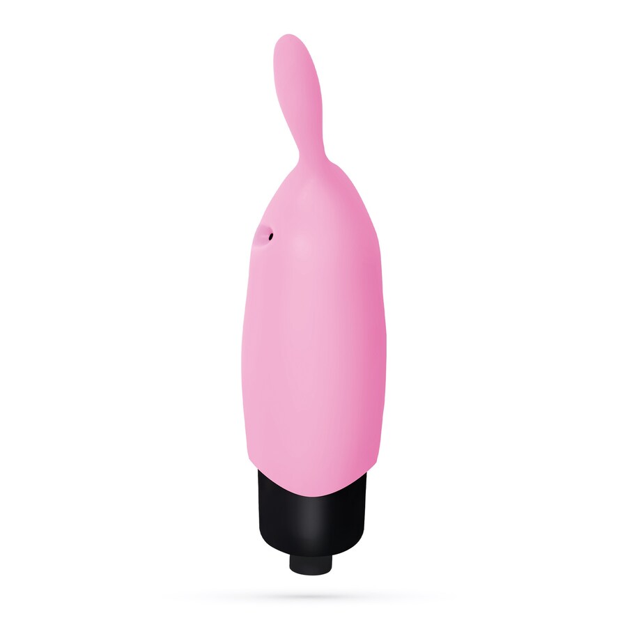 O-PET RABBIT 3