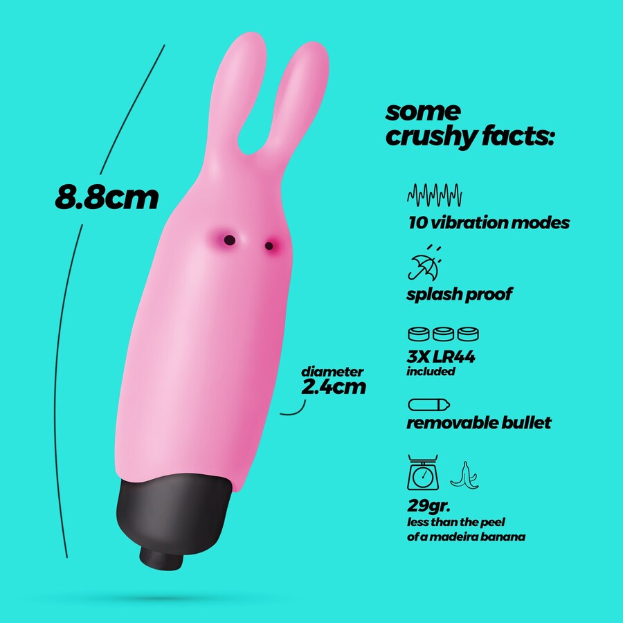 O-PET RABBIT 6