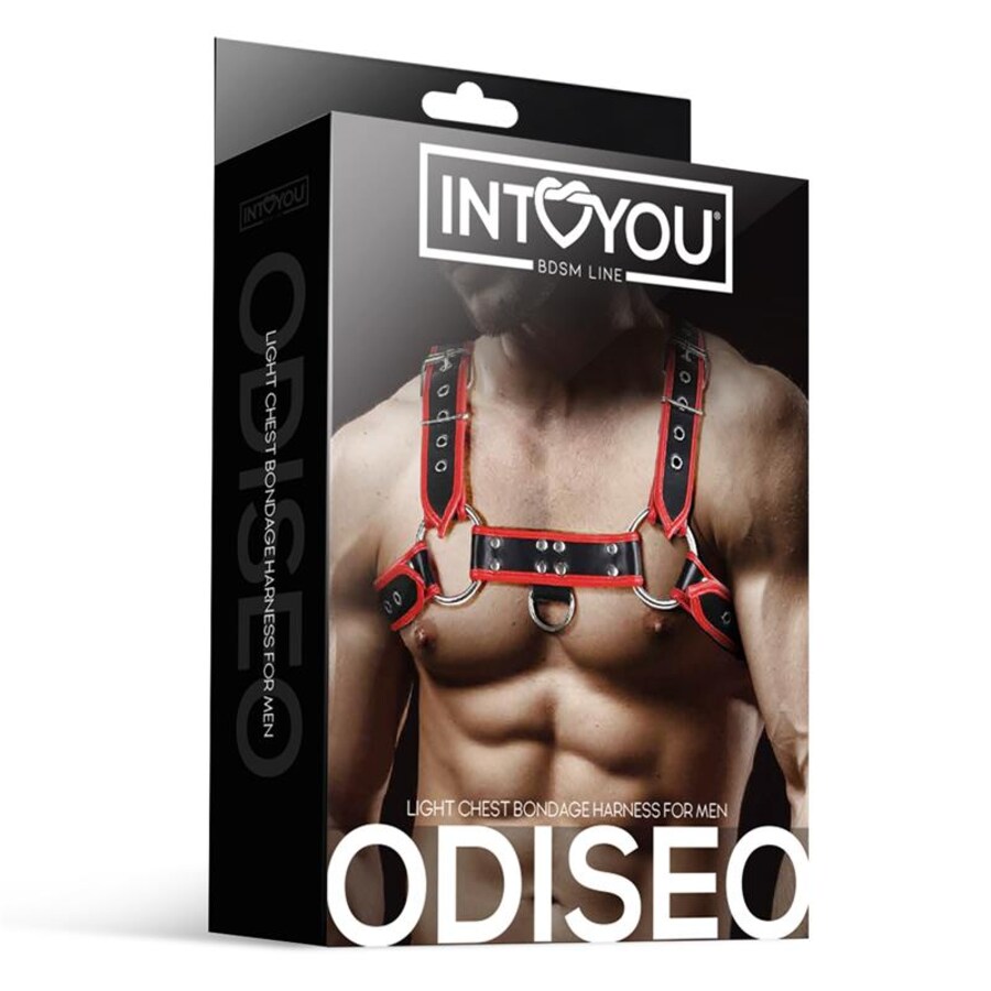 ODISEO CHESTSTRAP 3