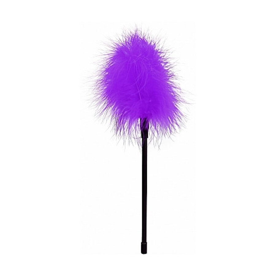 AÏE! PLUME DE COULEURS 2