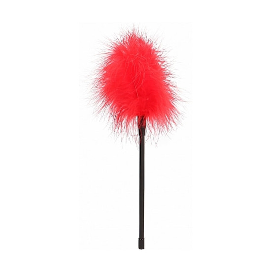 AÏE! PLUME DE COULEURS 3