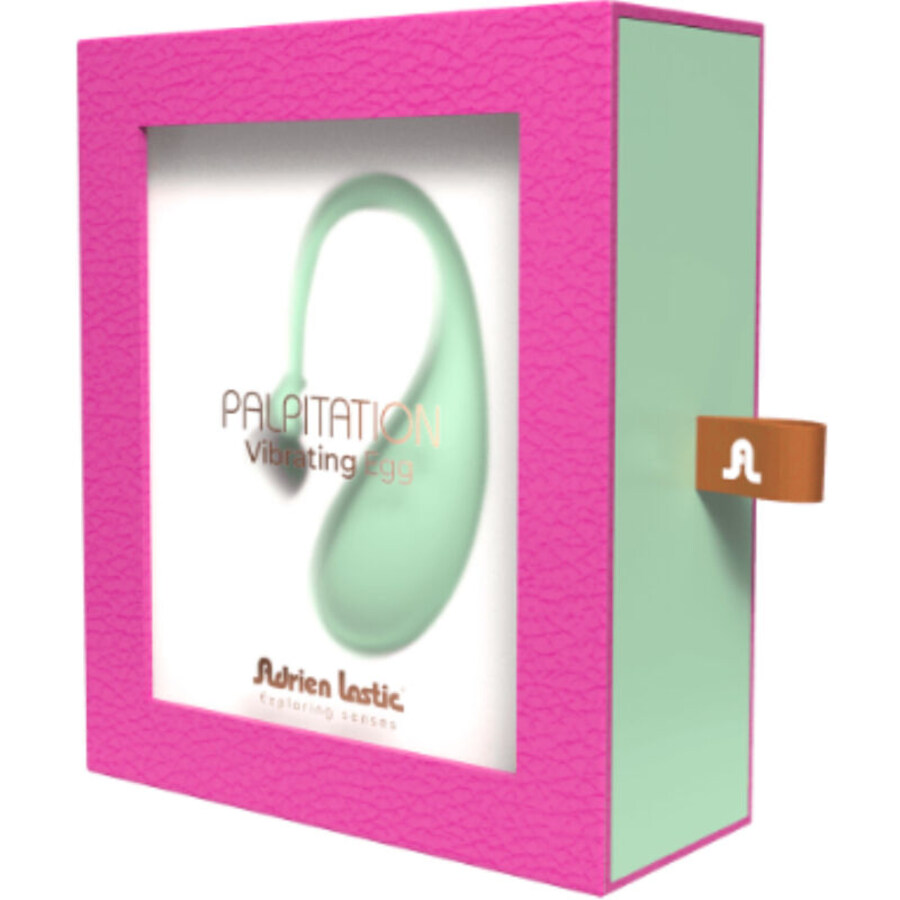 PALPITATION OVO VIBRADOR VER 4