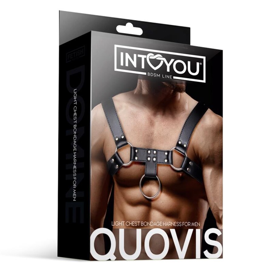 QUOVIS DOMINUS 3