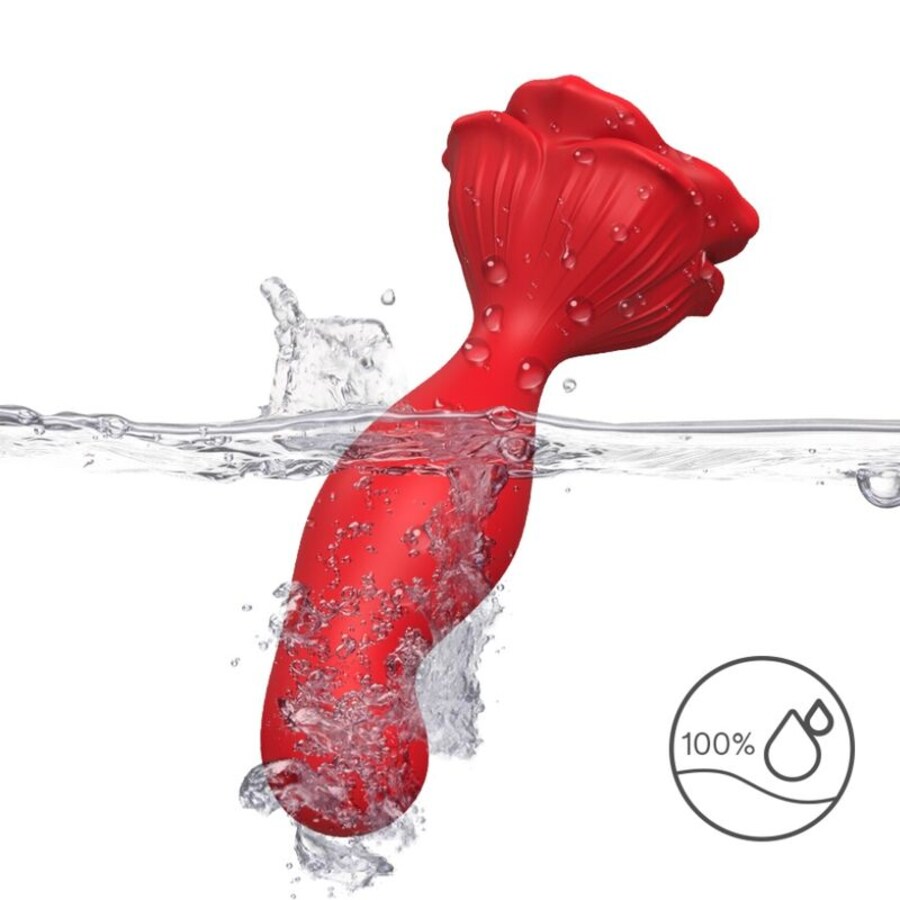 VIBRADOR ROSA E PLUGUE 3