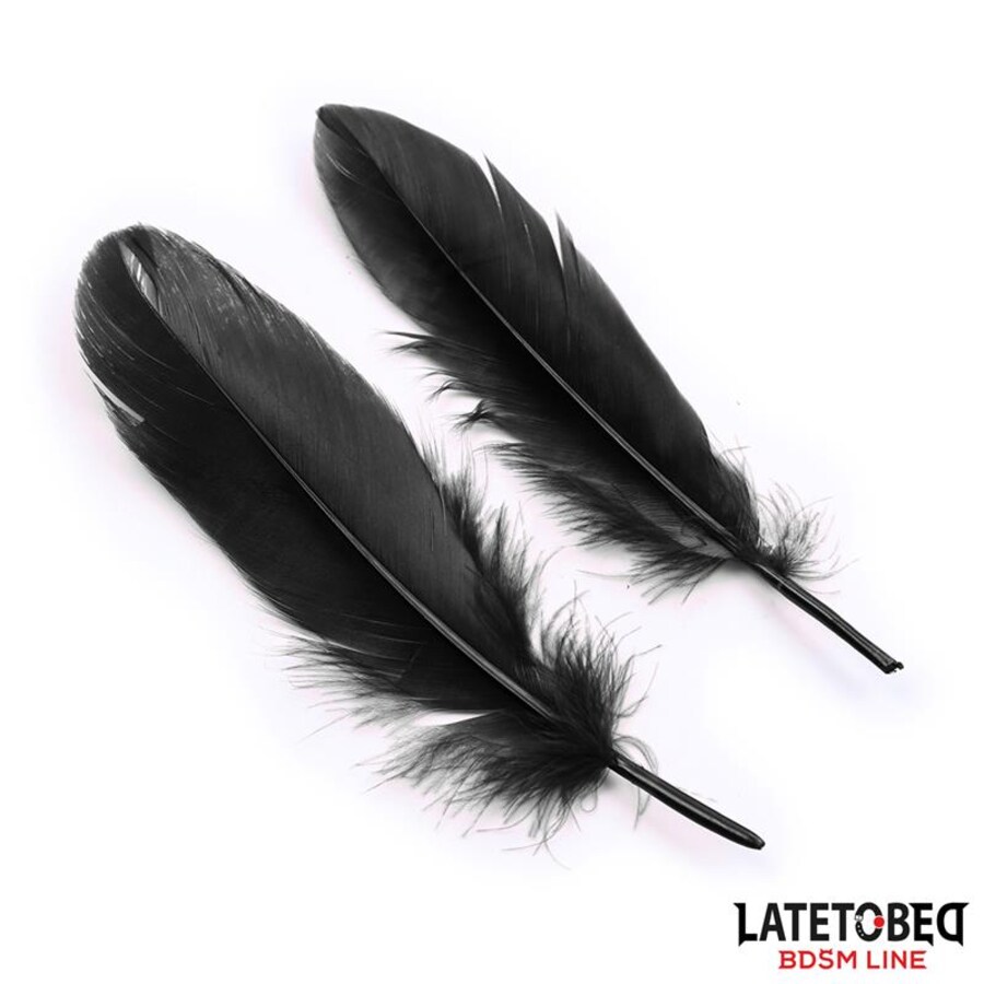 LATETOBED KIT BDSM 5
