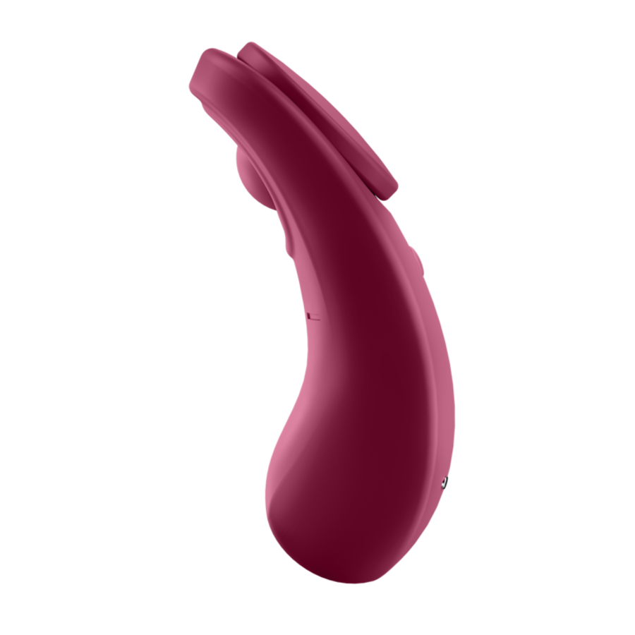 SATISFYER SEXY SECRET PANTY 6
