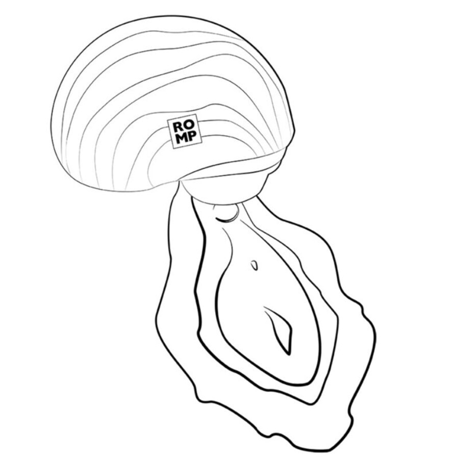 SPINCLIT 16