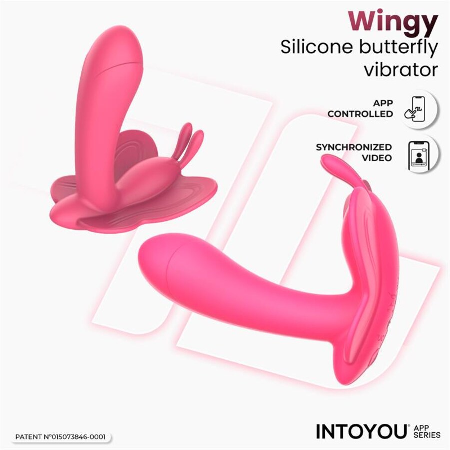 WINGY DELIGHT 4
