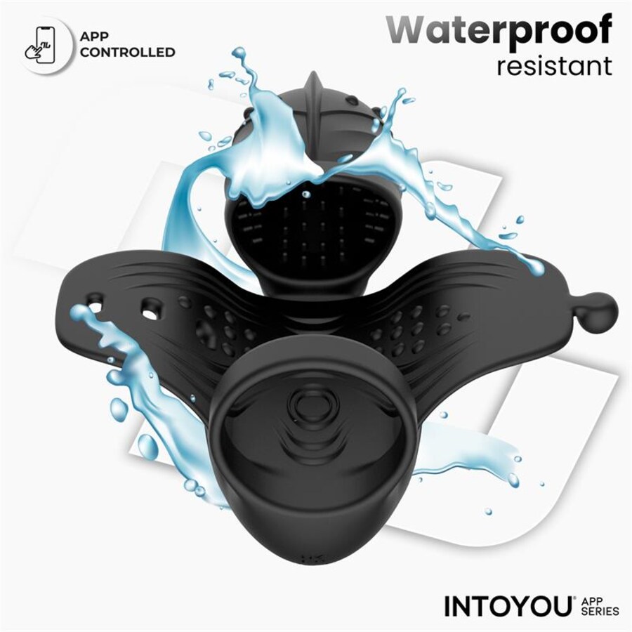 ZONTE SPINVIBE 6