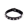 Adjustable Black Studded Collar - 43 cm