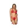 Enticing and Seductive Erotic Lingerie Set