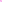 Boa Fucsia Descubre el complemento perfecto para tus momentos