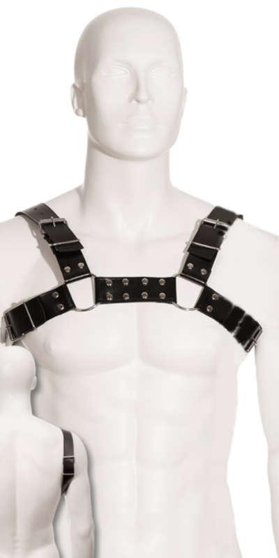 BLACK BULL DOG HARNESS Lingerie sexy e sofisticada para elevar a tua sensualidade