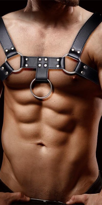 QUOVIS DOMINUS Quovis arnês masculino para bondage em couro vegan

Descobre o encantador universo do bond
