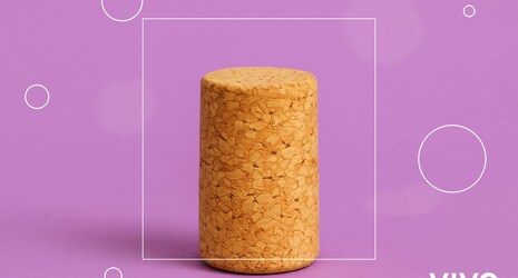 Guía completa: ¿Qué son los plugs anales y para qué se usan?
