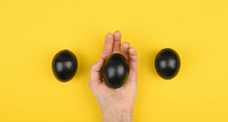 Los 10 mejores huevos masturbadores para hombres