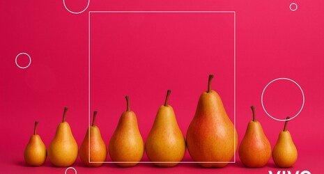 Los 8 mejores Dildos Realistas